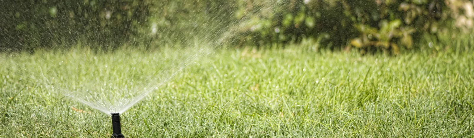 Maricopa Residential Irrigation Installation, Irrigation Repairs and Sprinkler Installation